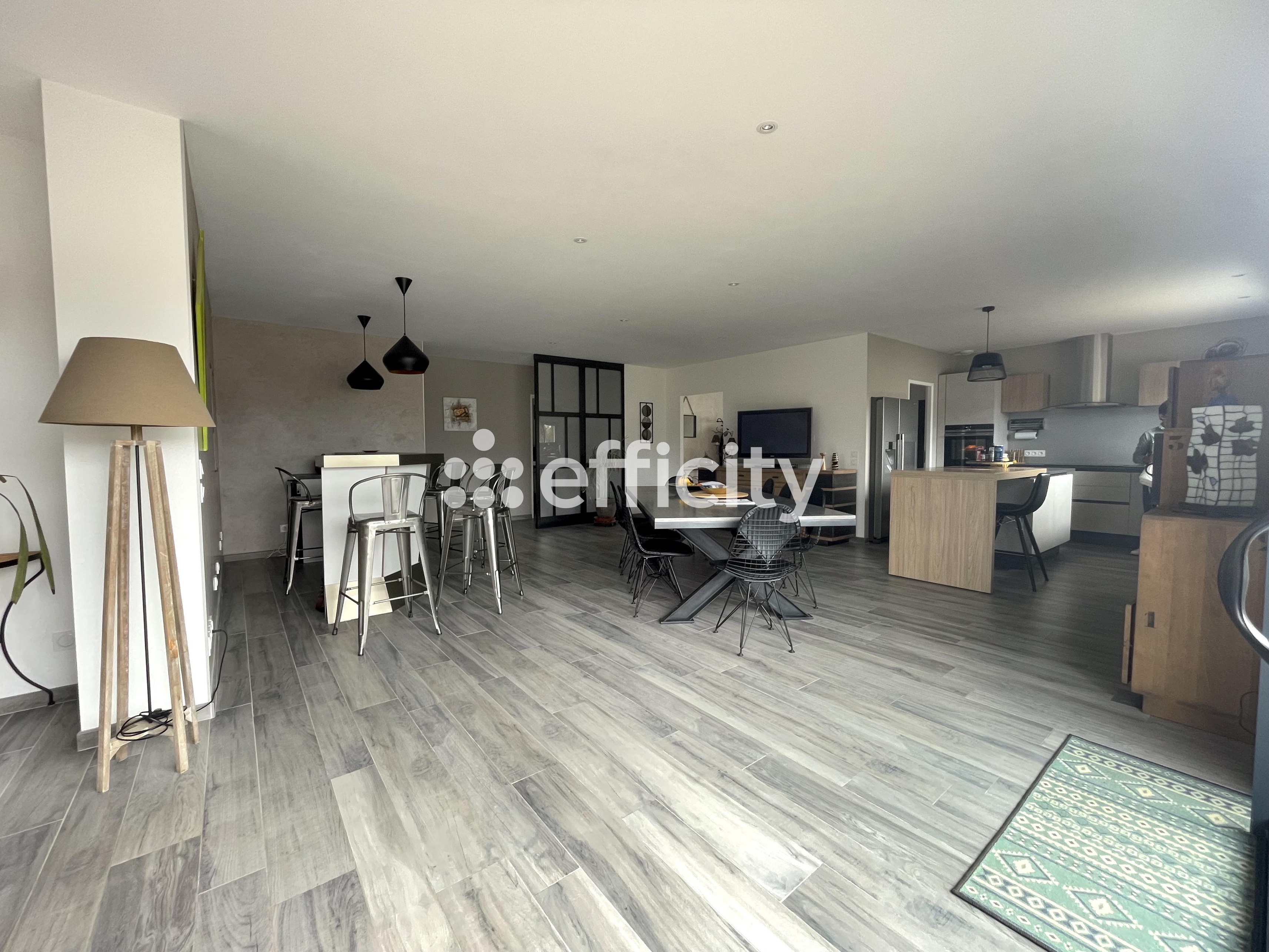 Achat immobilier Maison 4 pièces  197m2 à Les Billaux (33500) - Photo n°4