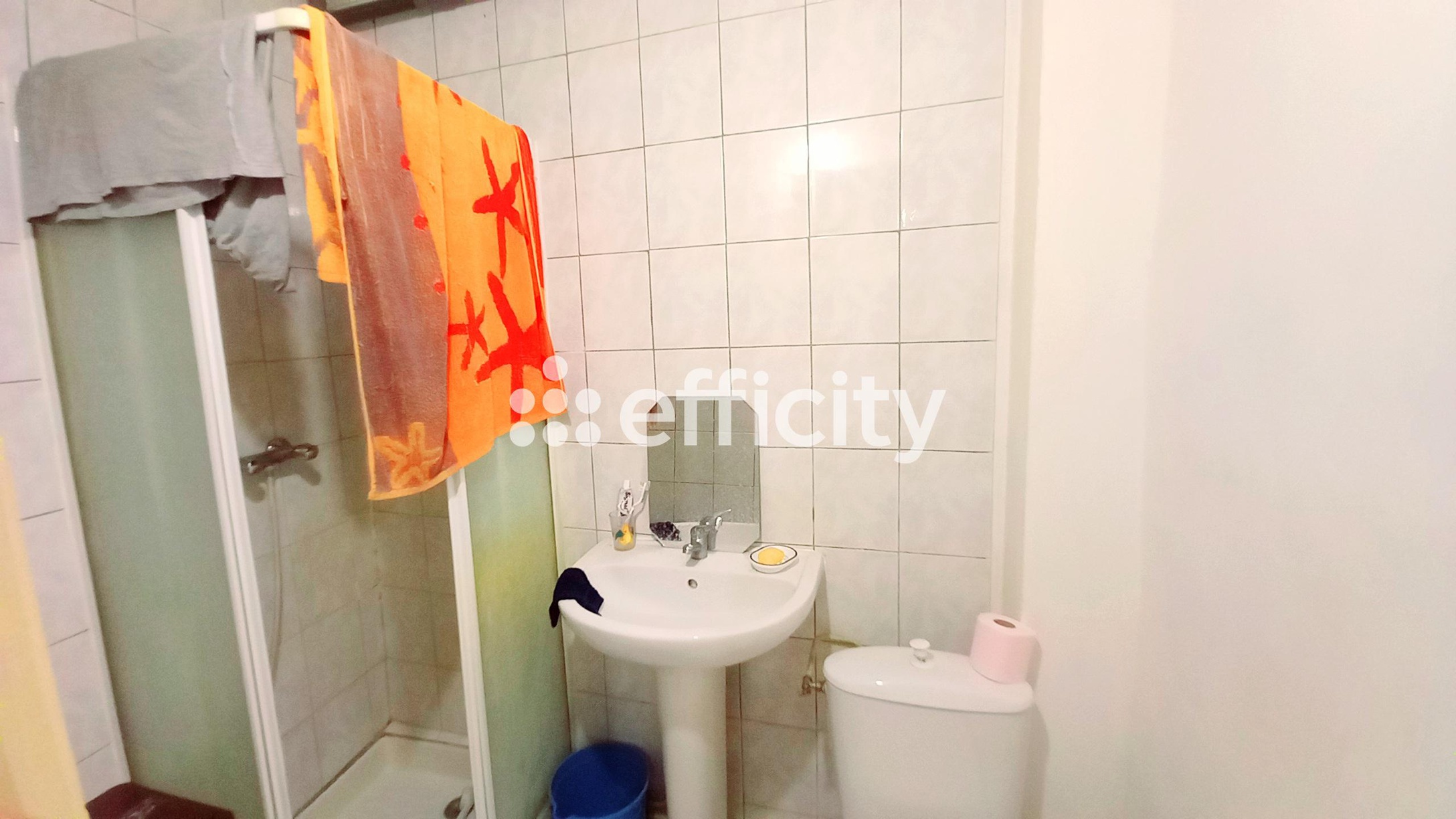 Achat immobilier Immeuble 10 pièces  175m2 à Nézignan-l'Évêque (34120) - Photo n°5