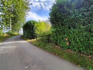 terrain  - 15000m2 à Montaudin (53220)