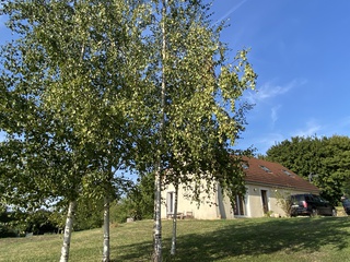 maison 5 pièces - 132m2 à Saint-Germain-de-la-Coudre (61130)