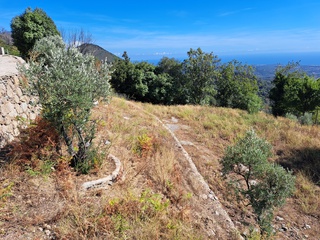 terrain  - 1000m2 à Canale-di-Verde (20230)
