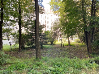 appartement 3 pièces - 91m2 à Lyon (69006)