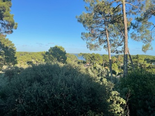 maison 5 pièces - 140m2 à Lacanau (33680)