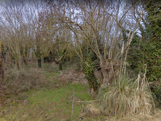 terrain  - 1086m2 à Longeville-sur-Mer (85560)