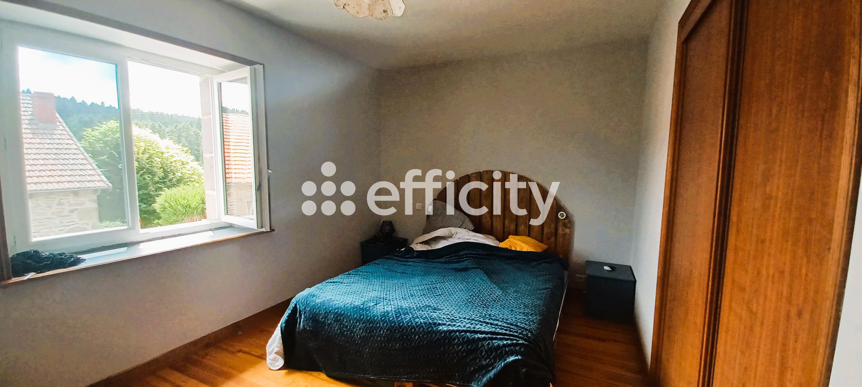 Achat immobilier Maison 9 pièces  206m2 à Védrines-Saint-Loup (15100) - Photo n°8