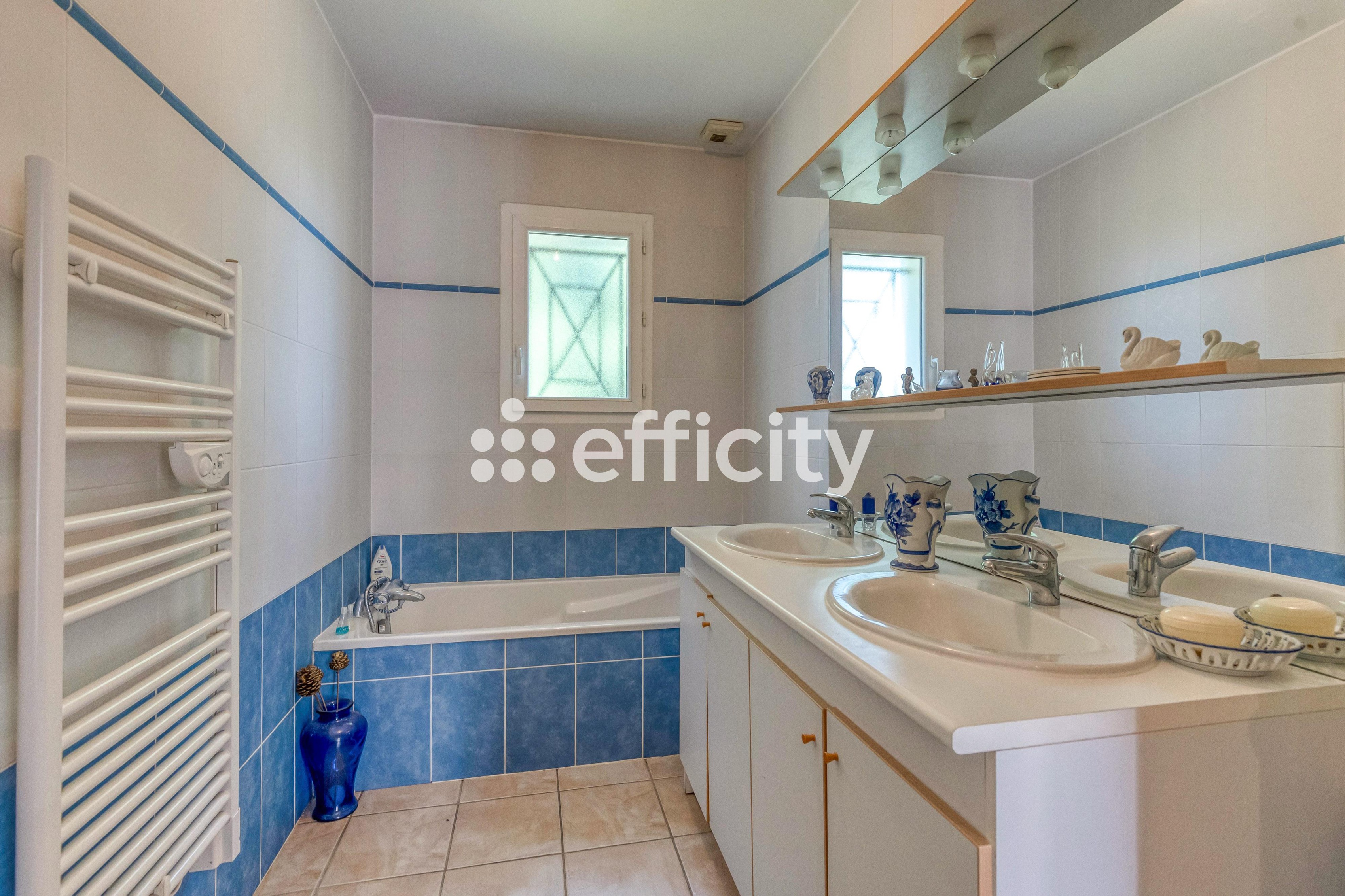 Achat immobilier Maison 6 pièces  141m2 à Vinay (38470) - Photo n°13