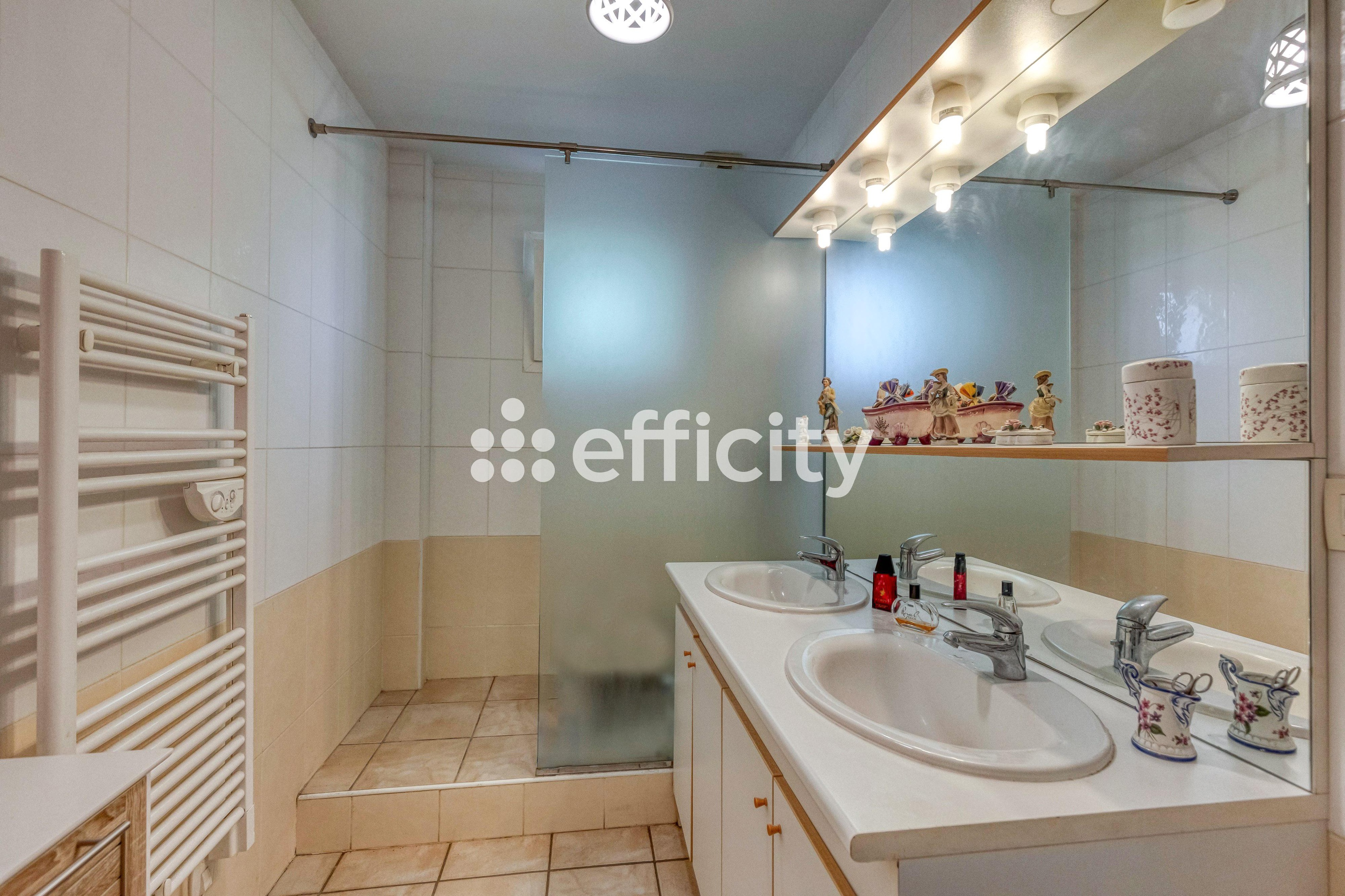 Achat immobilier Maison 6 pièces  141m2 à Vinay (38470) - Photo n°9