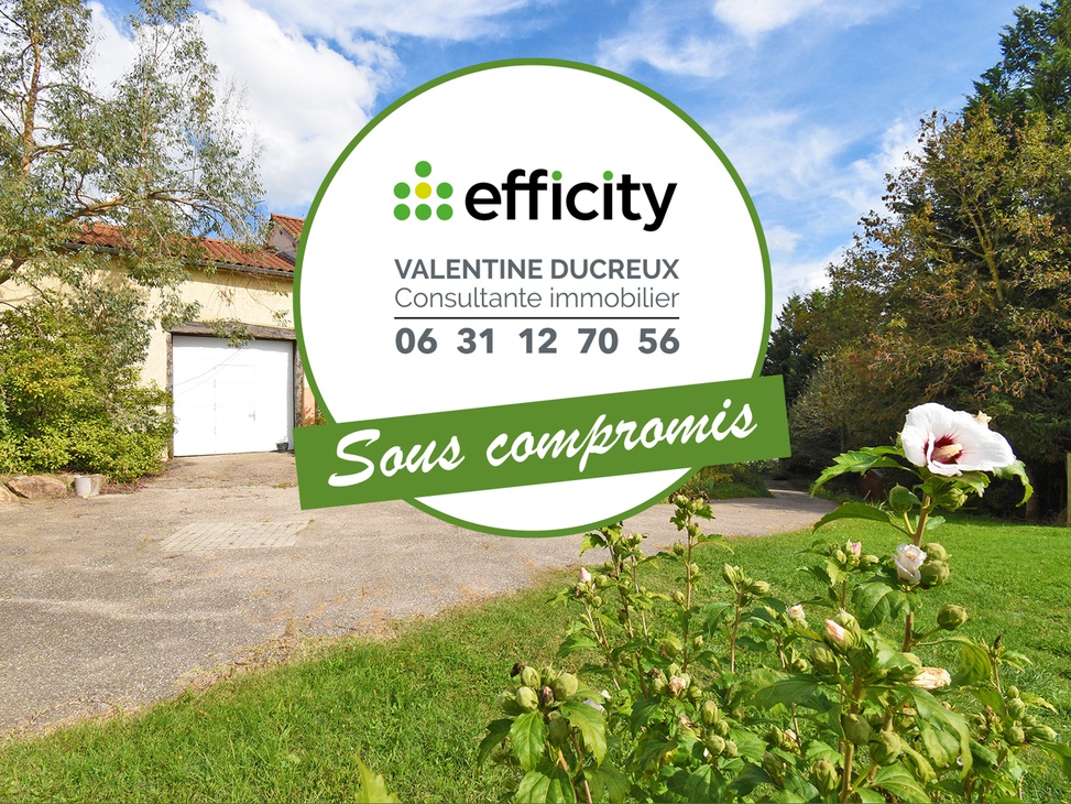 maison 8 pièces - 240m2 à Chazelles-sur-Lyon (42140)