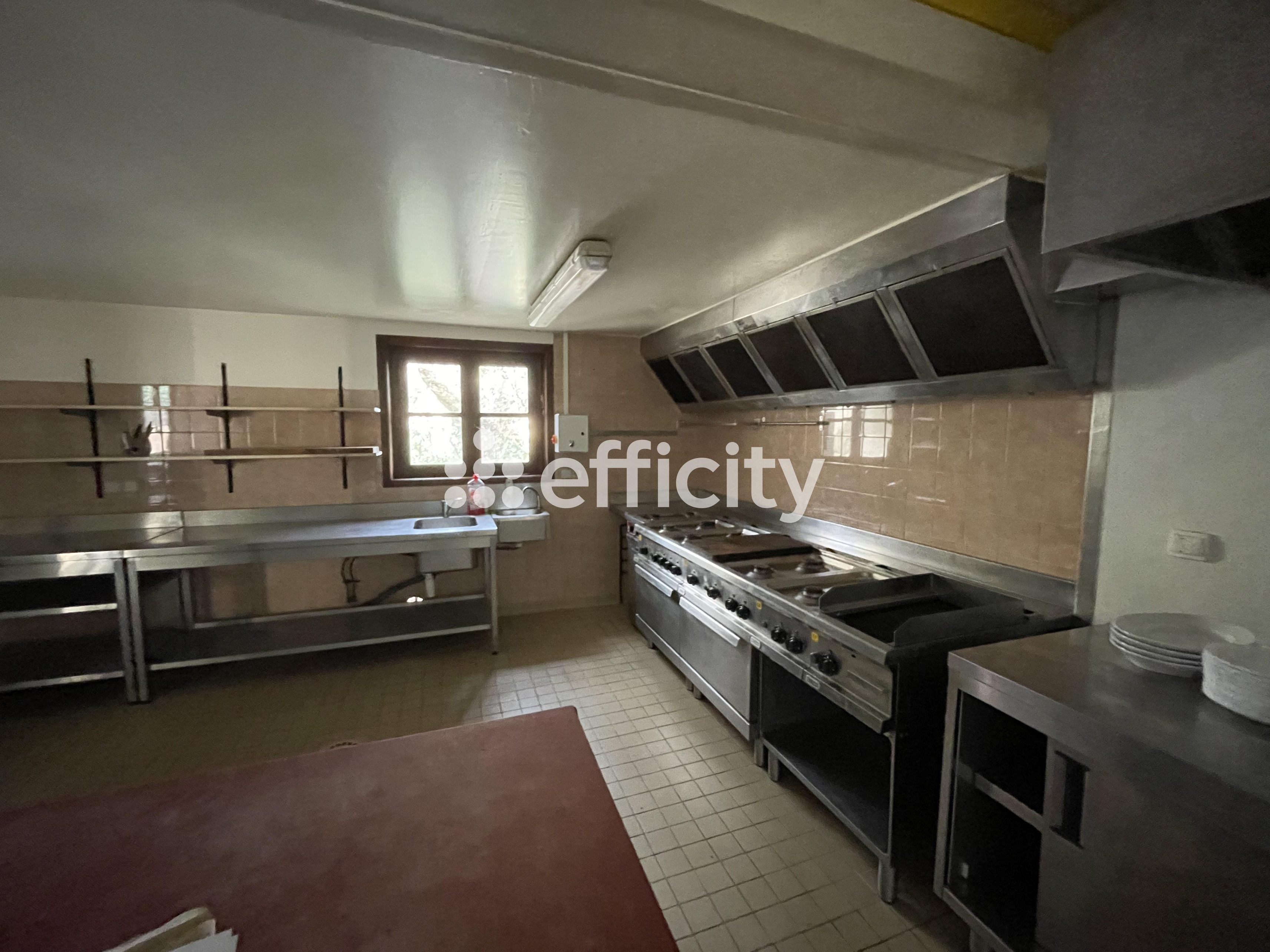 Achat immobilier Maison 67 pièces  1875m2 à Les Eyzies (24620) - Photo n°19