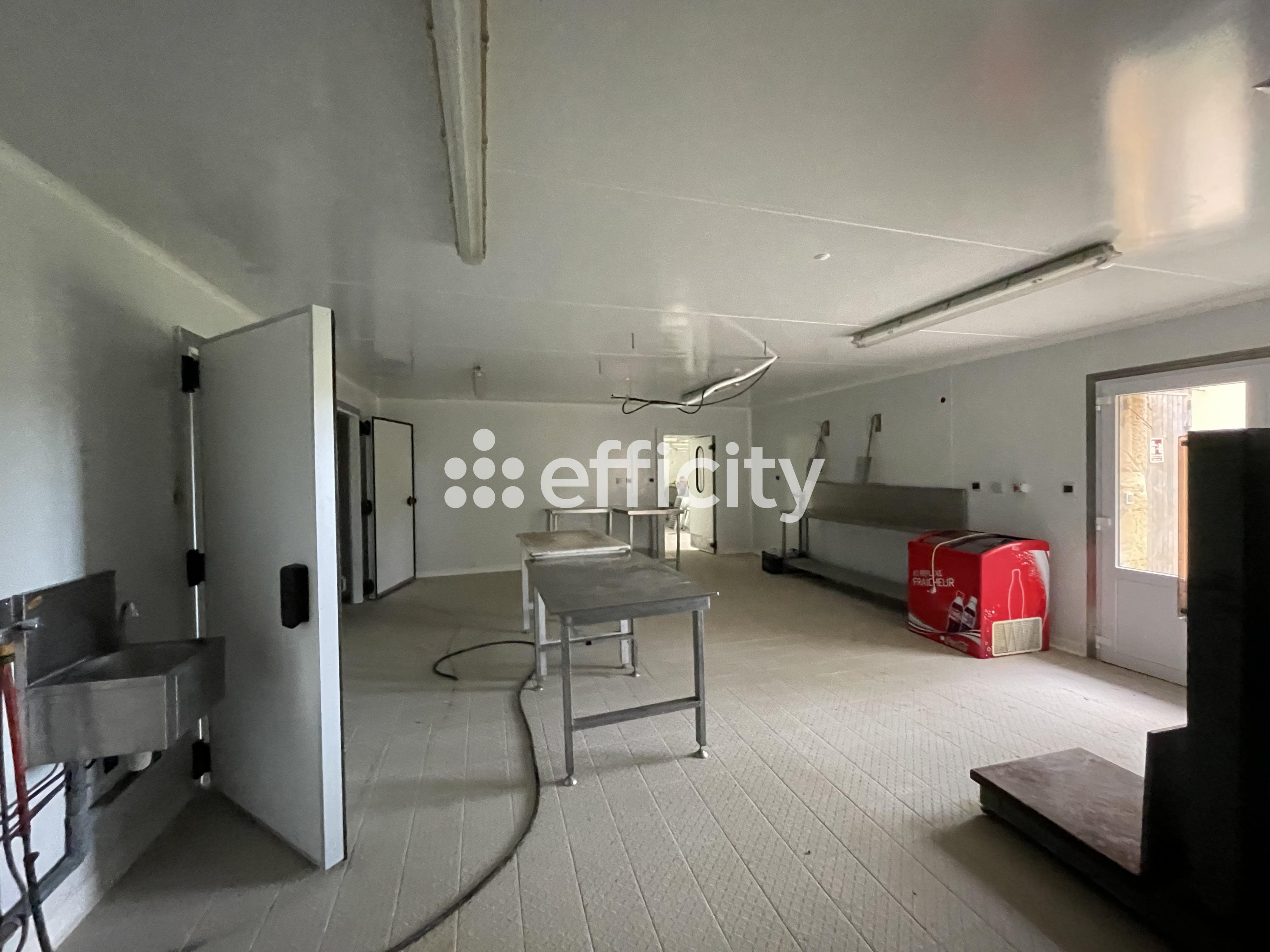 Achat immobilier Maison 67 pièces  1875m2 à Les Eyzies (24620) - Photo n°21