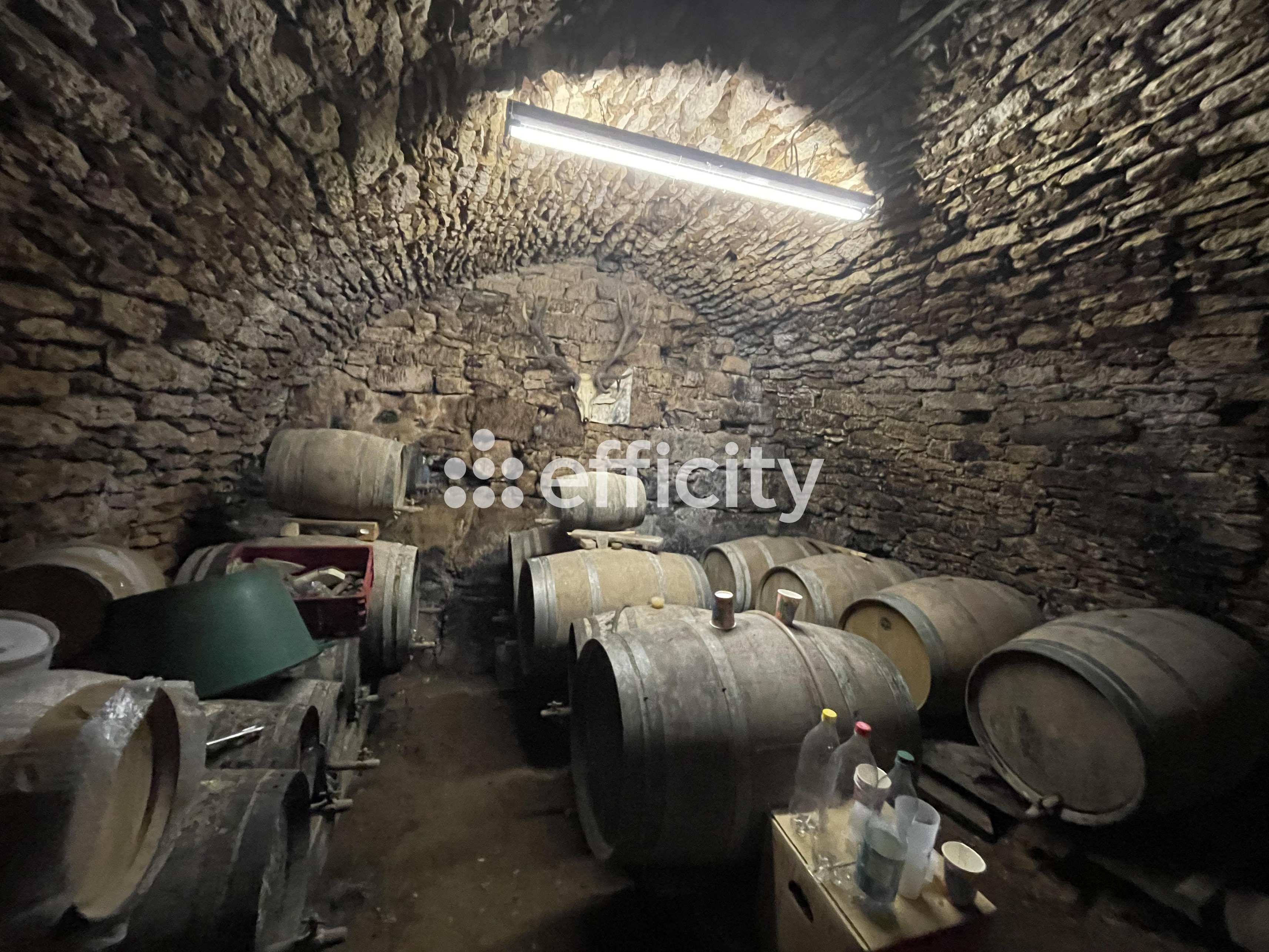 Achat immobilier Maison 67 pièces  1875m2 à Les Eyzies (24620) - Photo n°22