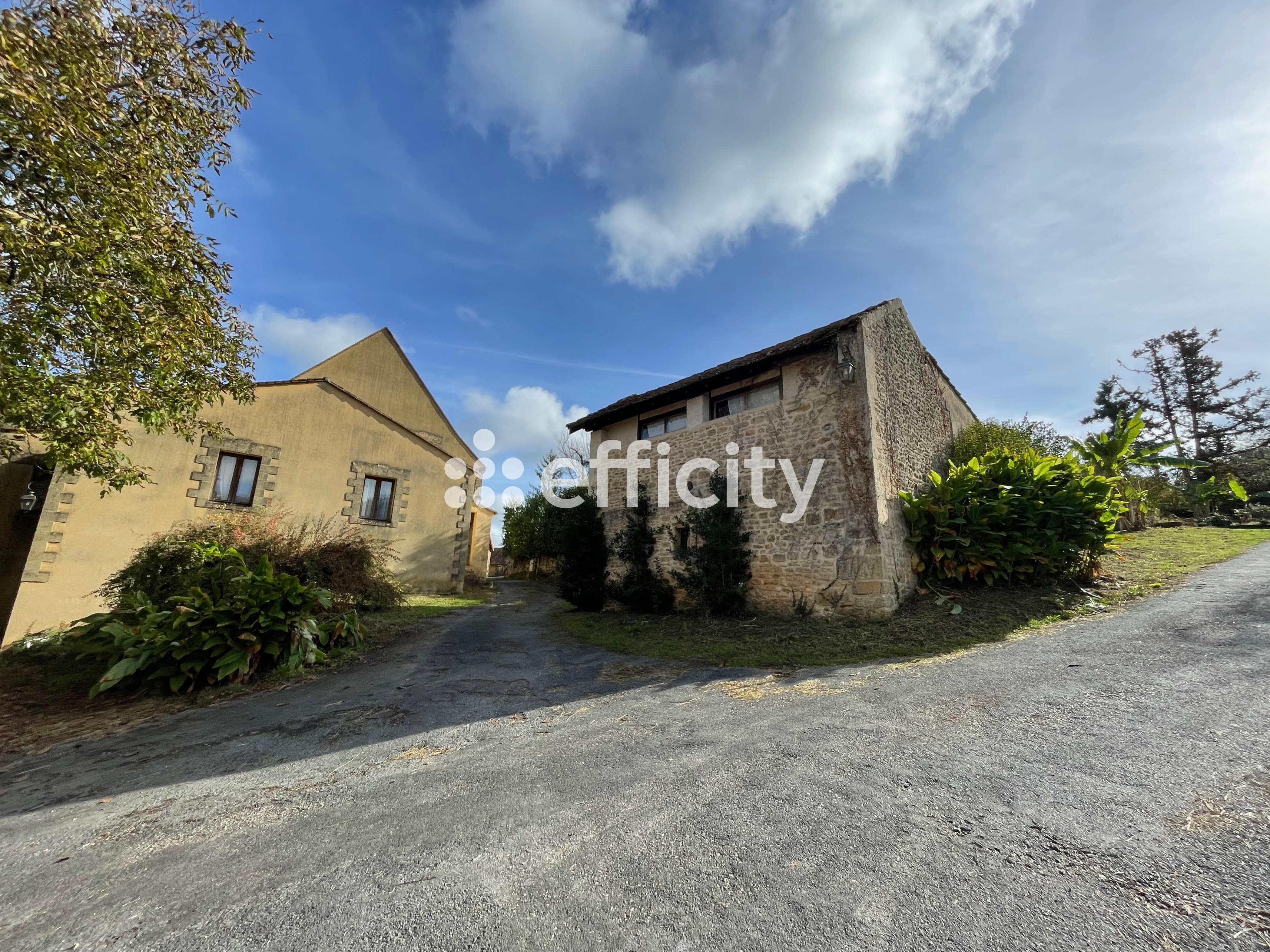 Achat immobilier Maison 67 pièces  1875m2 à Les Eyzies (24620) - Photo n°9