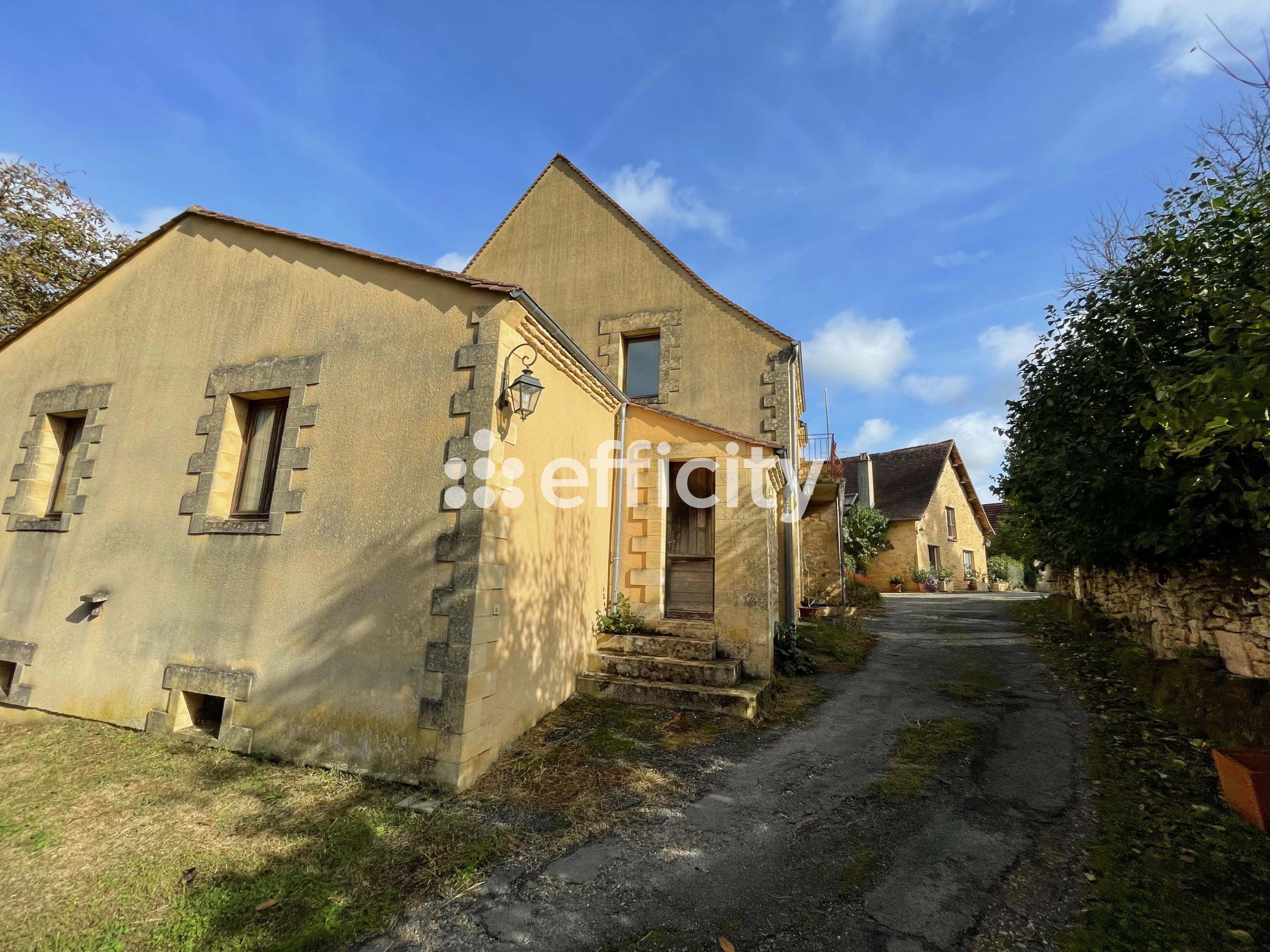 Achat immobilier Maison 67 pièces  1875m2 à Les Eyzies (24620) - Photo n°7