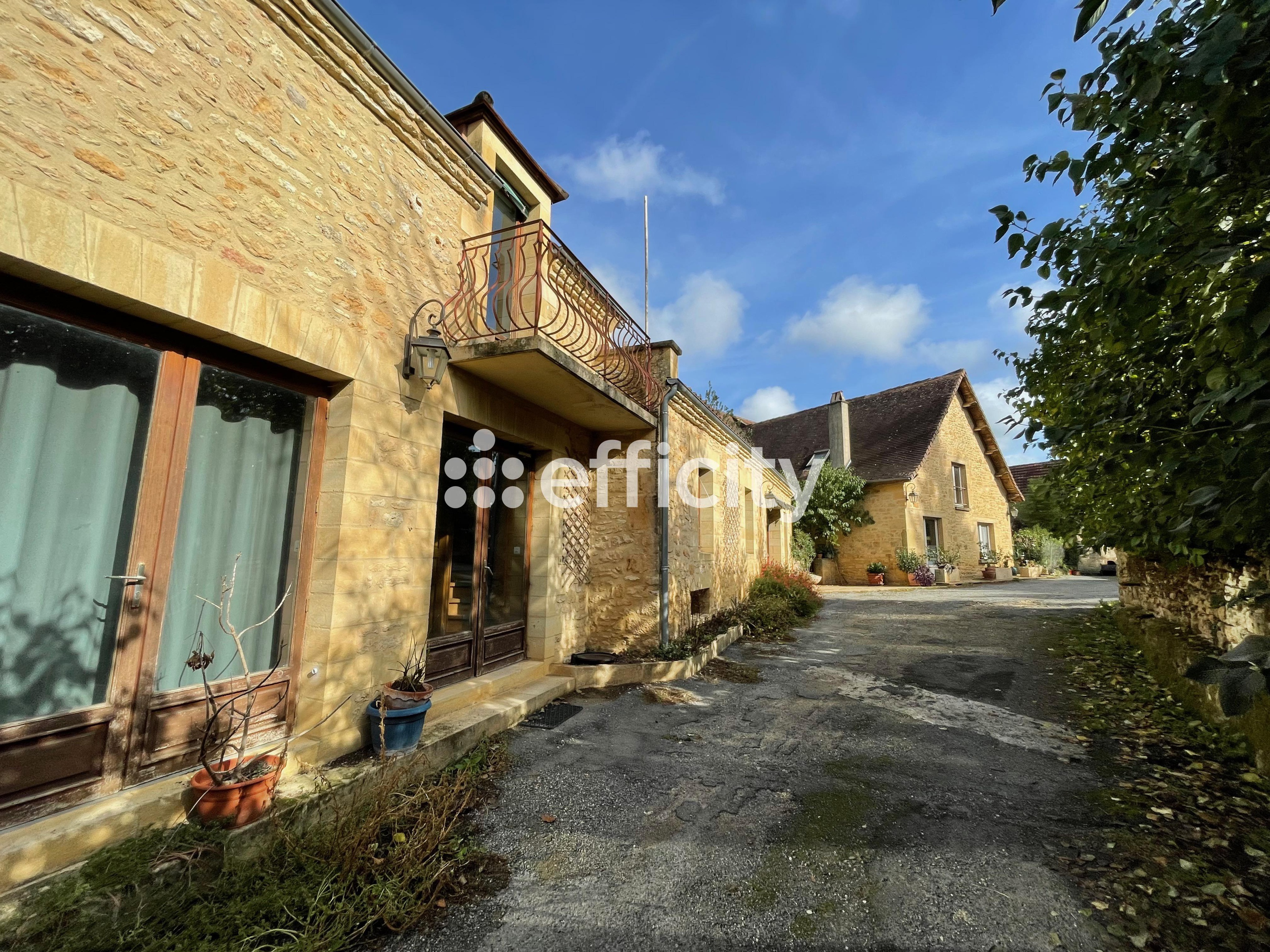 Achat immobilier Maison 67 pièces  1875m2 à Les Eyzies (24620) - Photo n°11