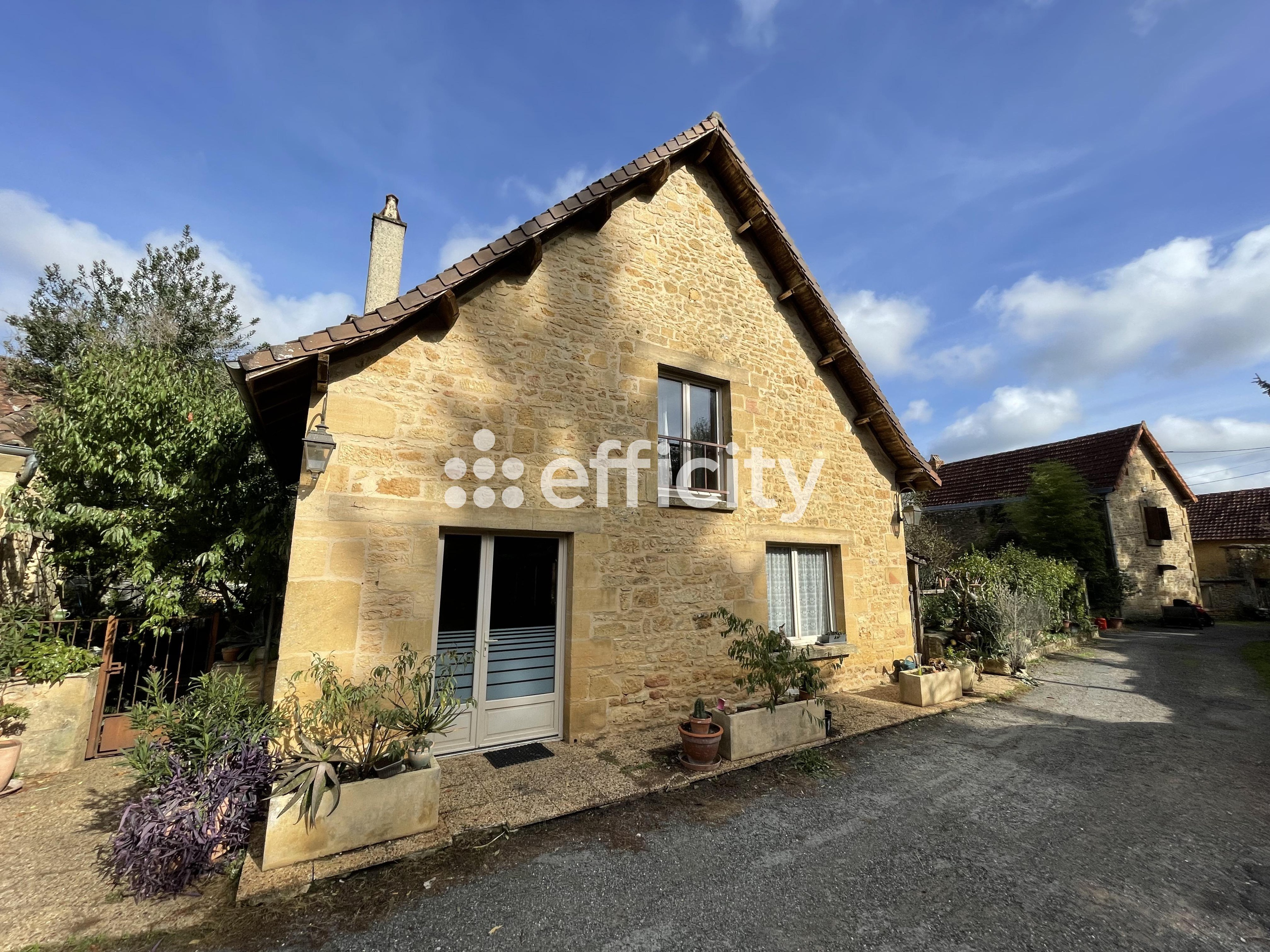 Achat immobilier Maison 67 pièces  1875m2 à Les Eyzies (24620) - Photo n°4