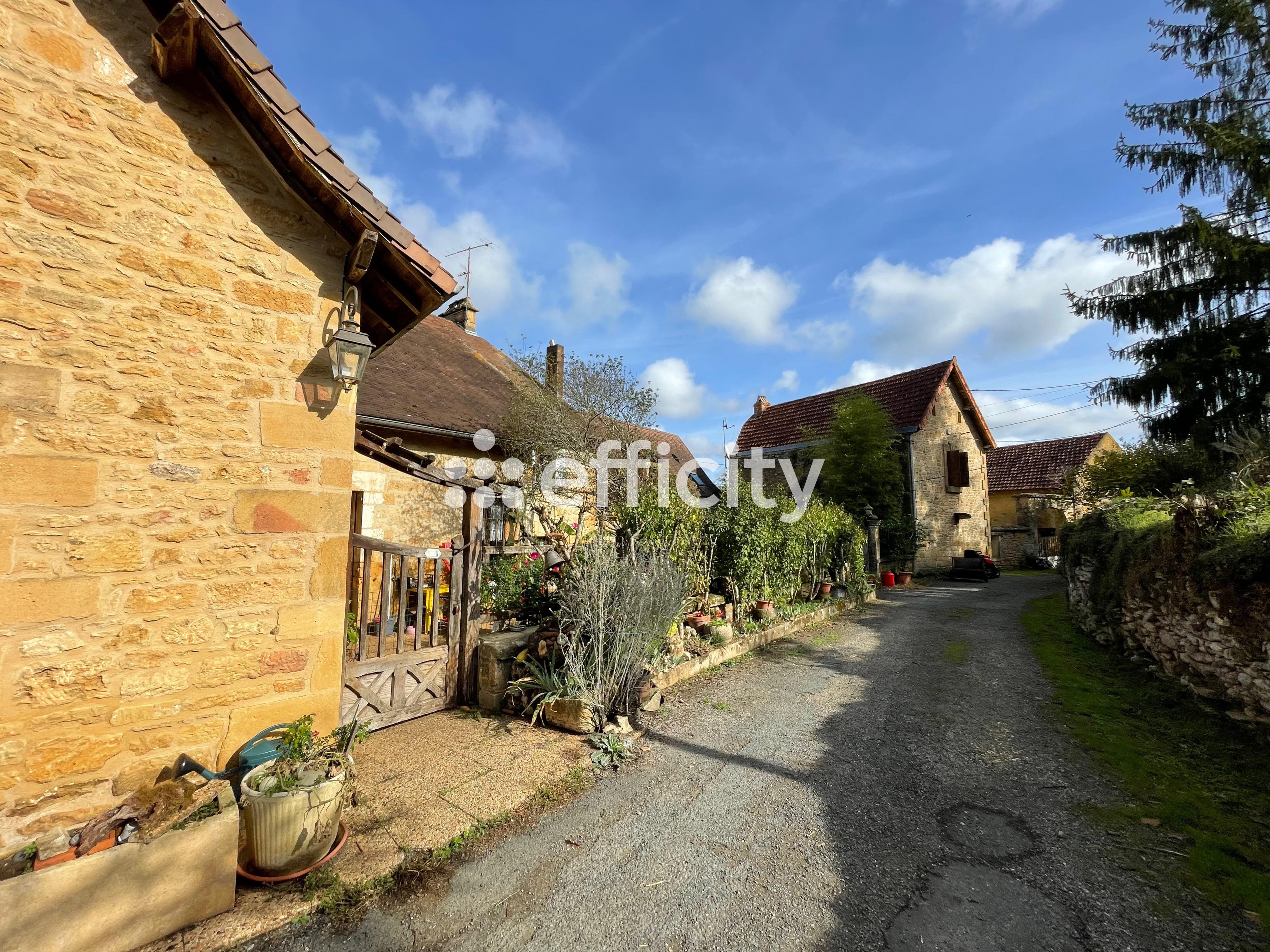 Achat immobilier Maison 67 pièces  1875m2 à Les Eyzies (24620) - Photo n°5