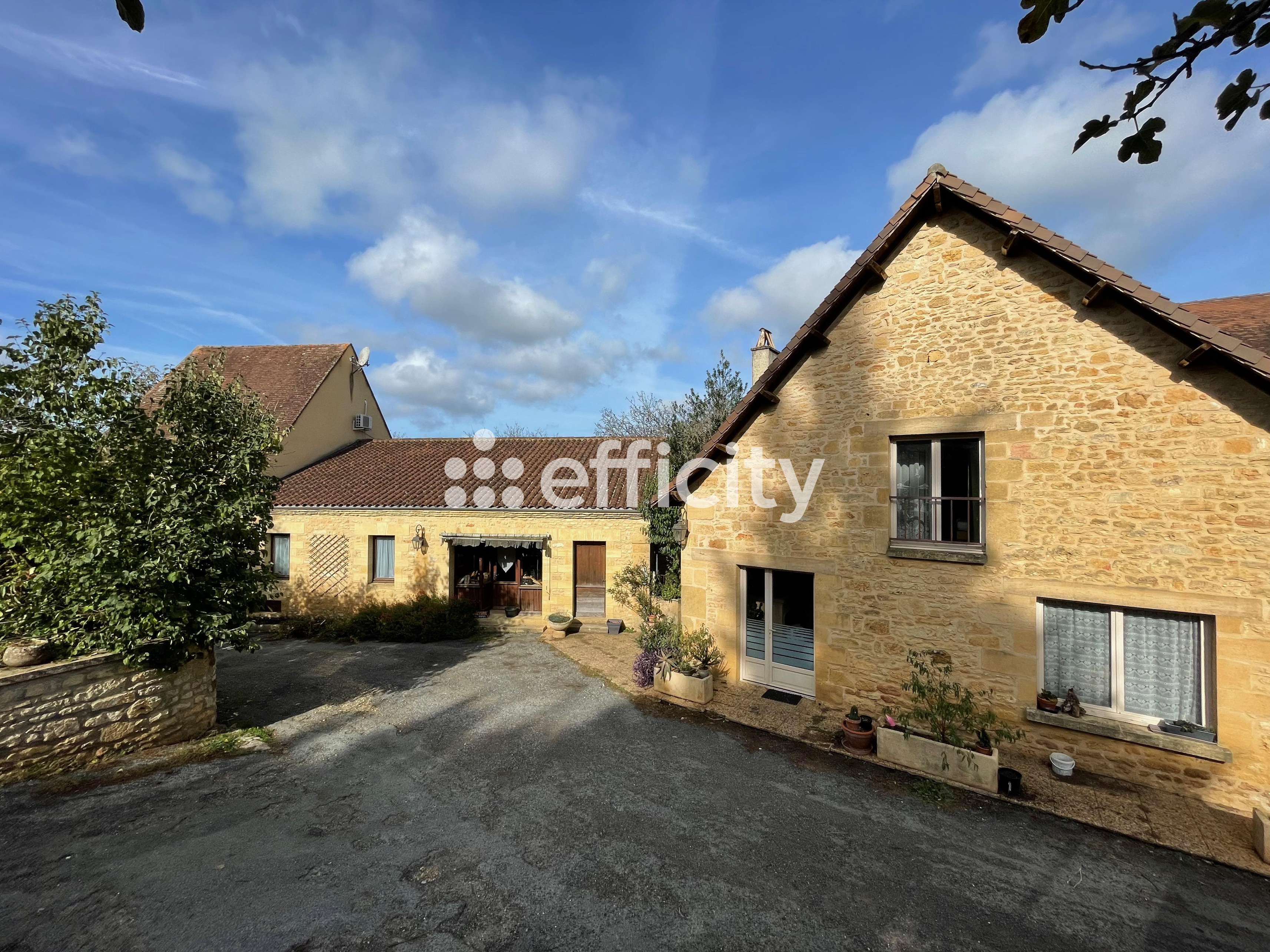 Achat immobilier Maison 67 pièces  1875m2 à Les Eyzies (24620) - Photo n°6