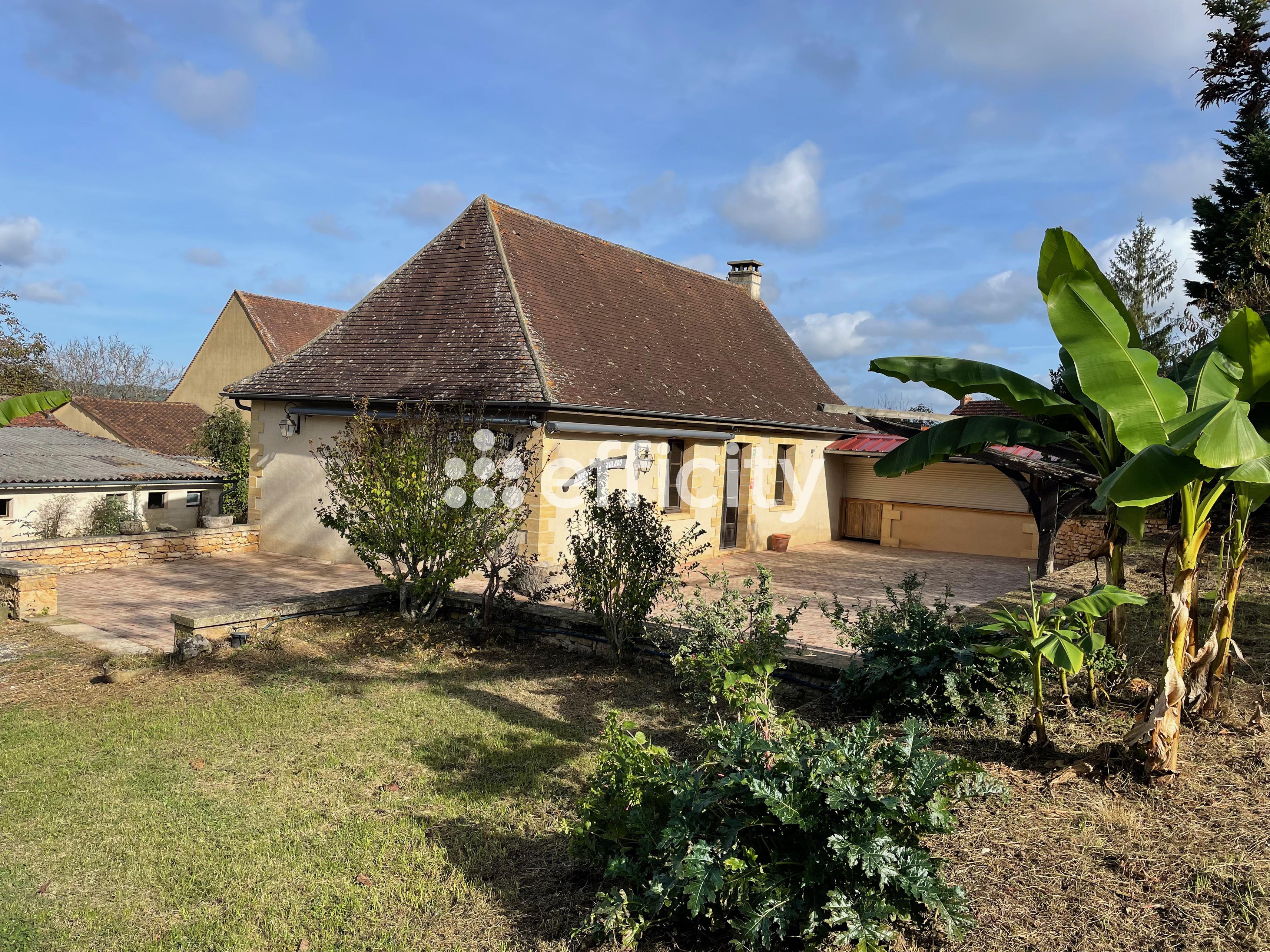 Achat immobilier Maison 67 pièces  1875m2 à Les Eyzies (24620) - Photo n°1