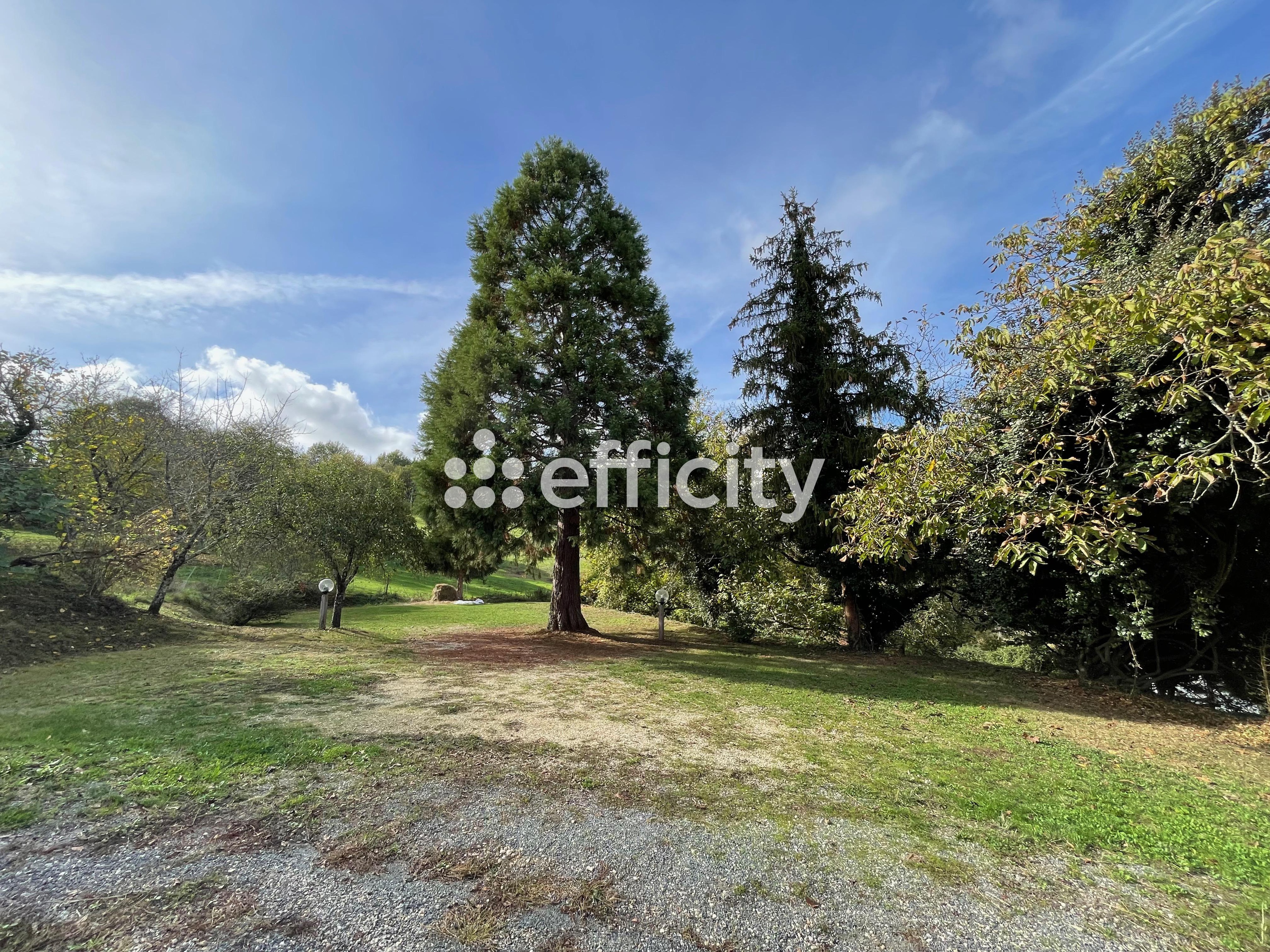 Achat immobilier Maison 67 pièces  1875m2 à Les Eyzies (24620) - Photo n°8