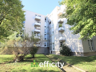 appartement 3 pièces - 53m2 à Villeurbanne (69100)