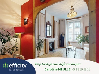 appartement 2 pièces - 51m2 à Lyon (69007)