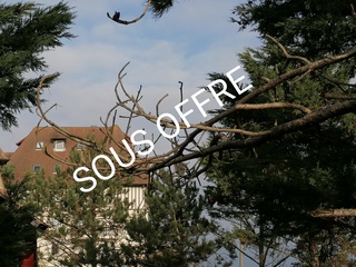 maison 5 pièces - 120m2 à Cabourg (14390)