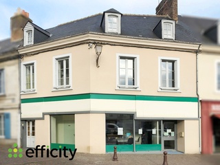 immeuble  - 140m2 à Le Grand-Lucé (72150)