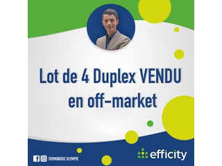 appartement 2 pièces - 110m2 à Le Mans (72100)