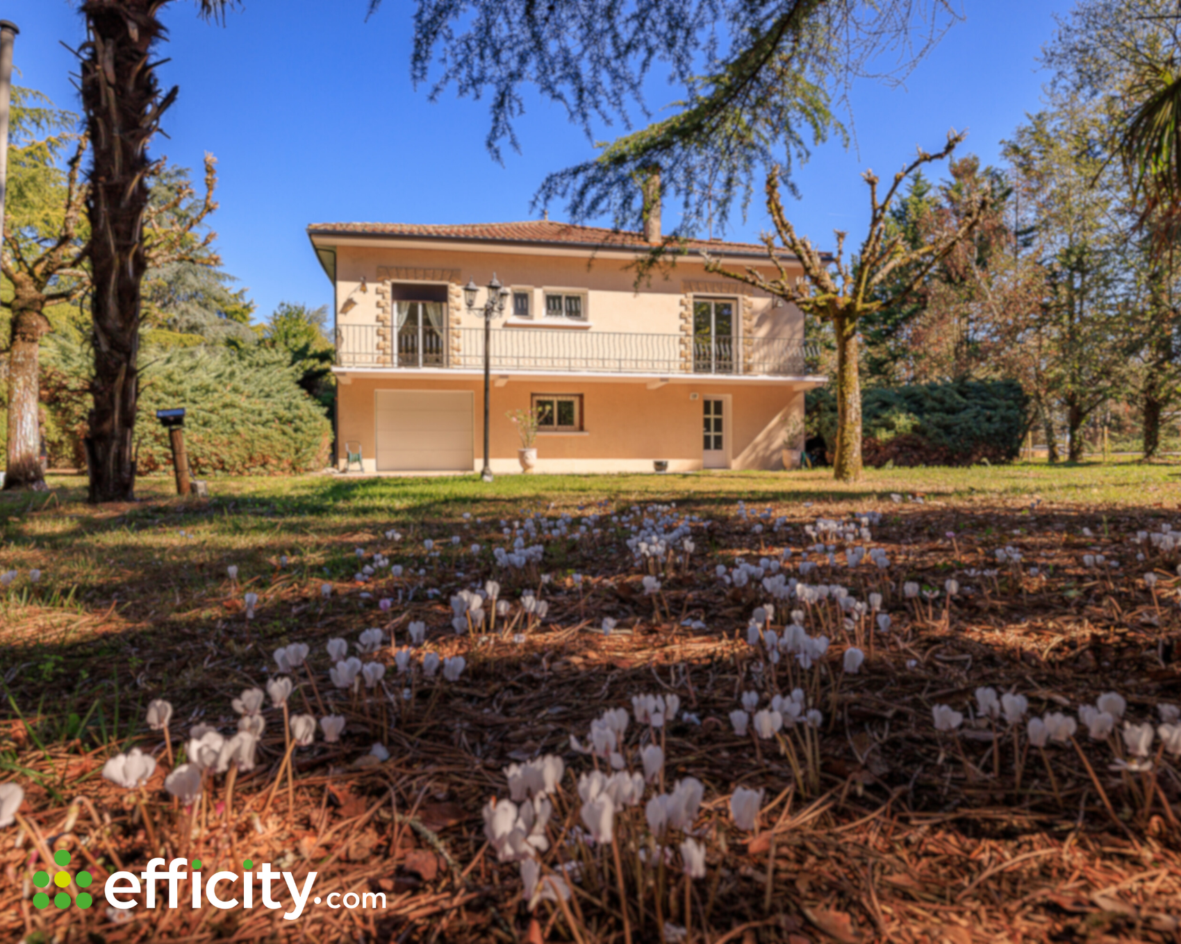 Achat immobilier Maison 11 pièces  230m2 à Coutras (33230) - Photo n°15