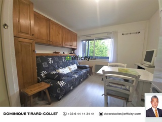 appartement 1 pièces - 20m2 à Bogève (74250)