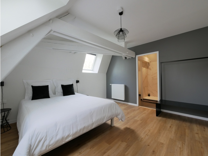 Achat immobilier Maison 17 pièces  407m2 à Rennes (35200) - Photo n°8