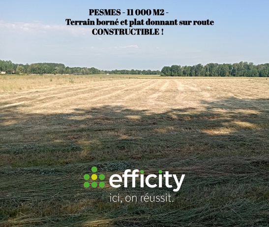 terrain  - 11000m2 à Pesmes (70140)