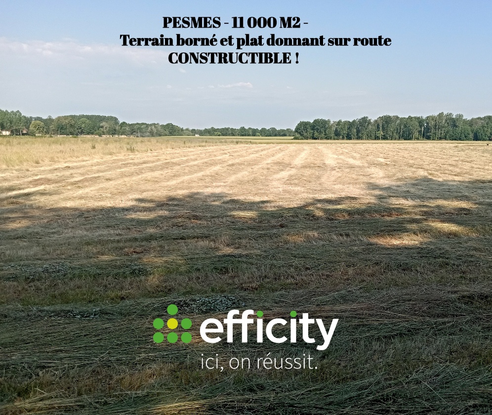 Terrain 11000 m² · à Pesmes · 11 000 m² · 172 000 €