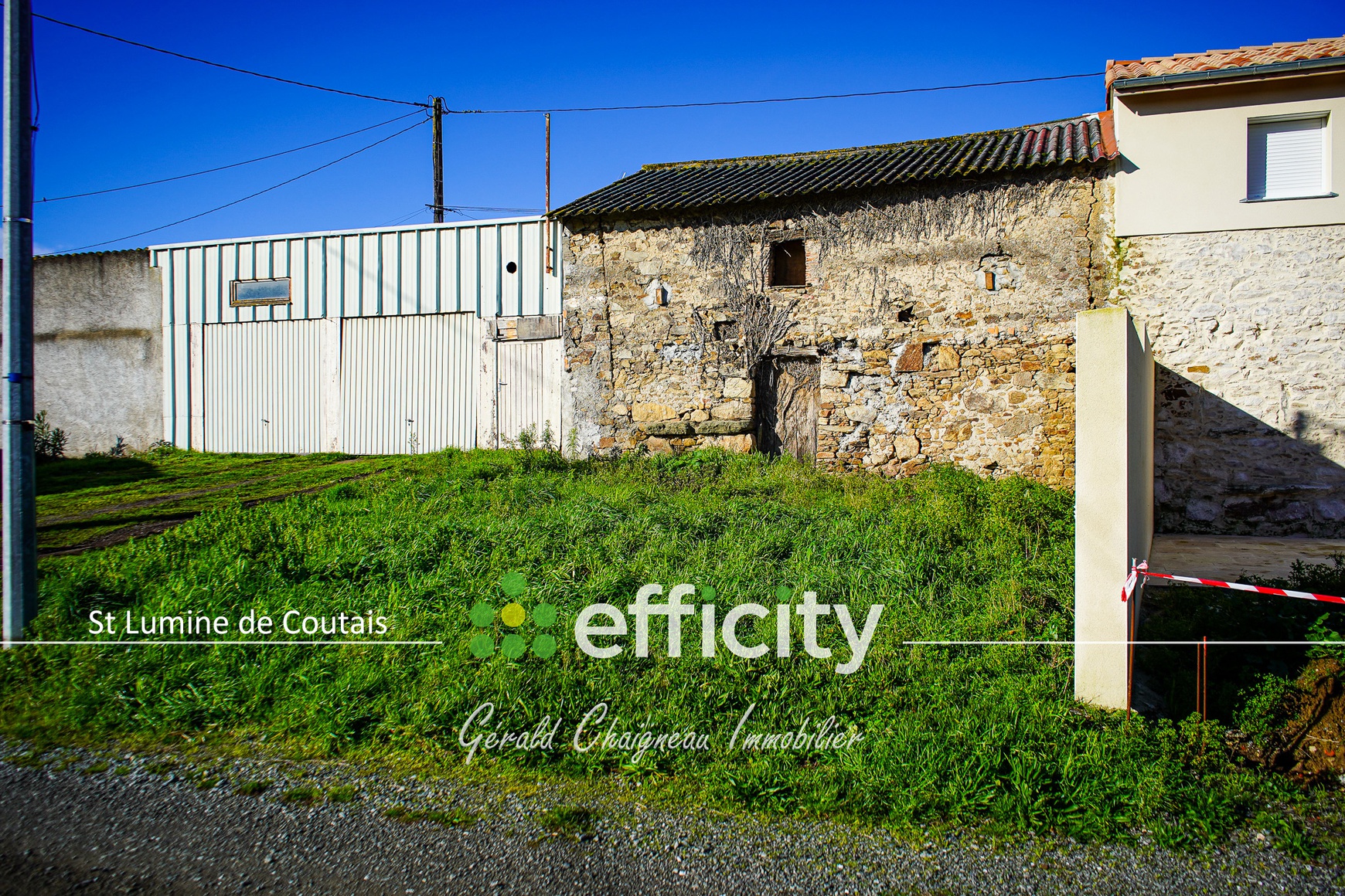Photo illustration