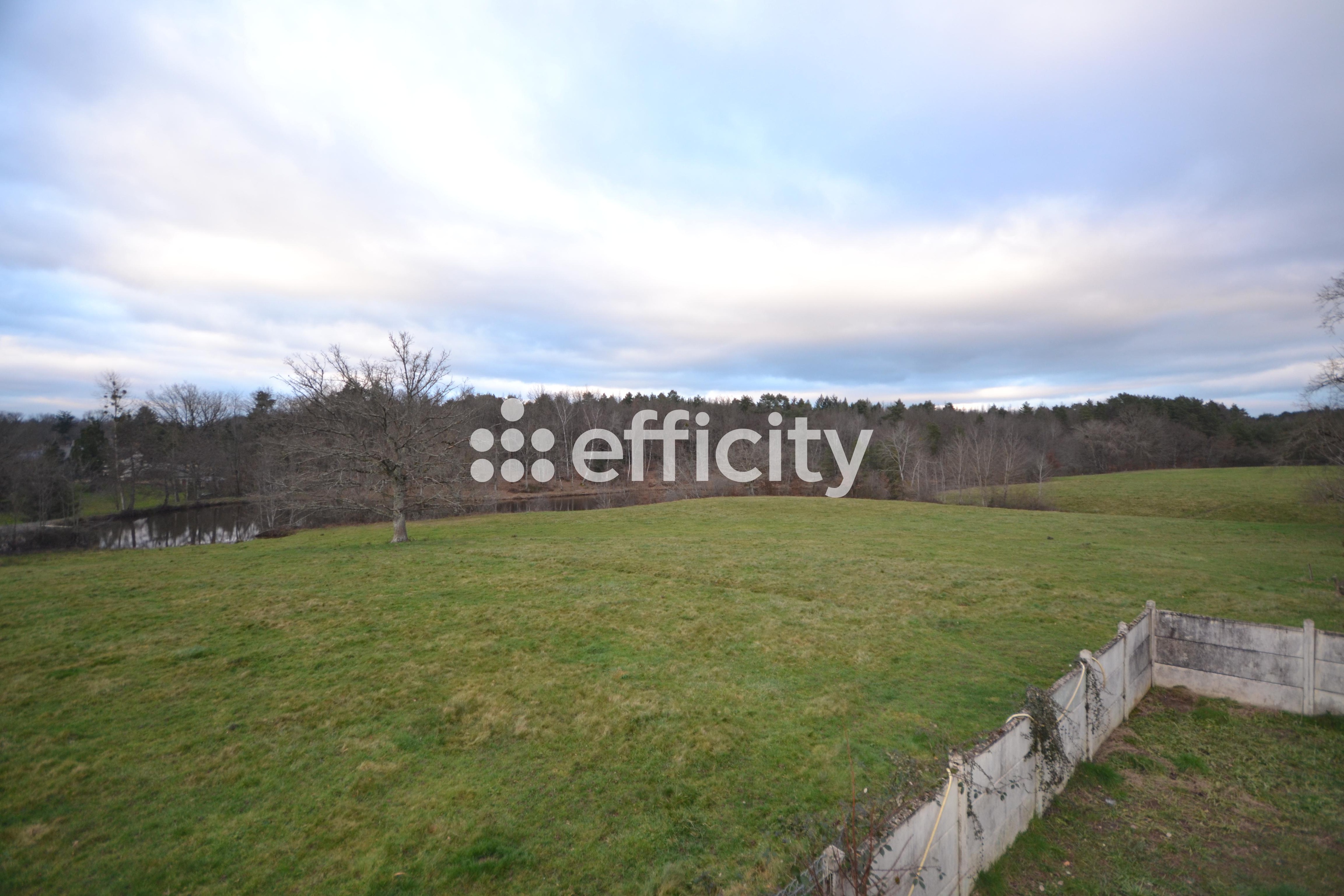 Achat immobilier Maison 5 pièces  140m2 à La Nocle-Maulaix (58250) - Photo n°4