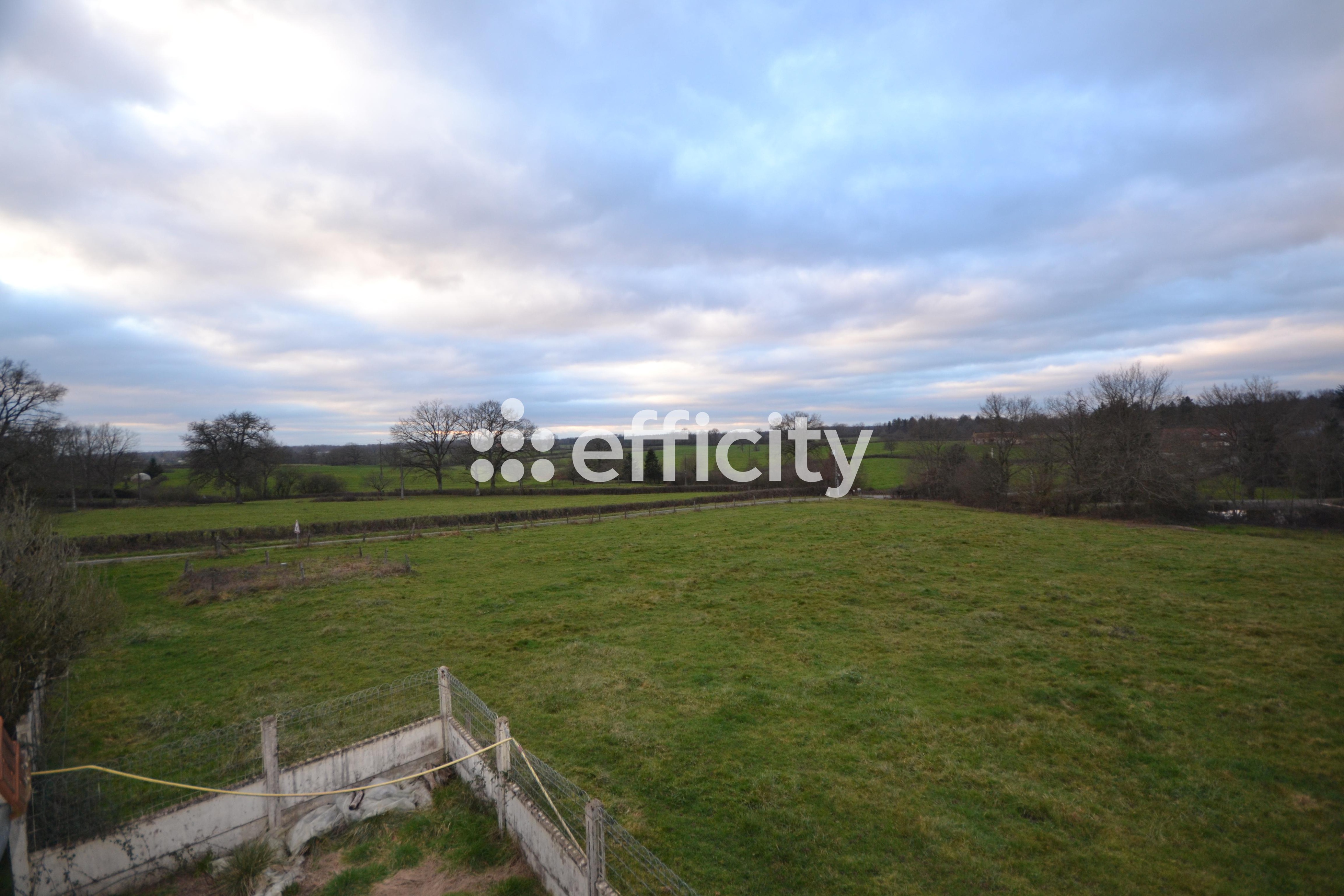 Achat immobilier Maison 5 pièces  140m2 à La Nocle-Maulaix (58250) - Photo n°6