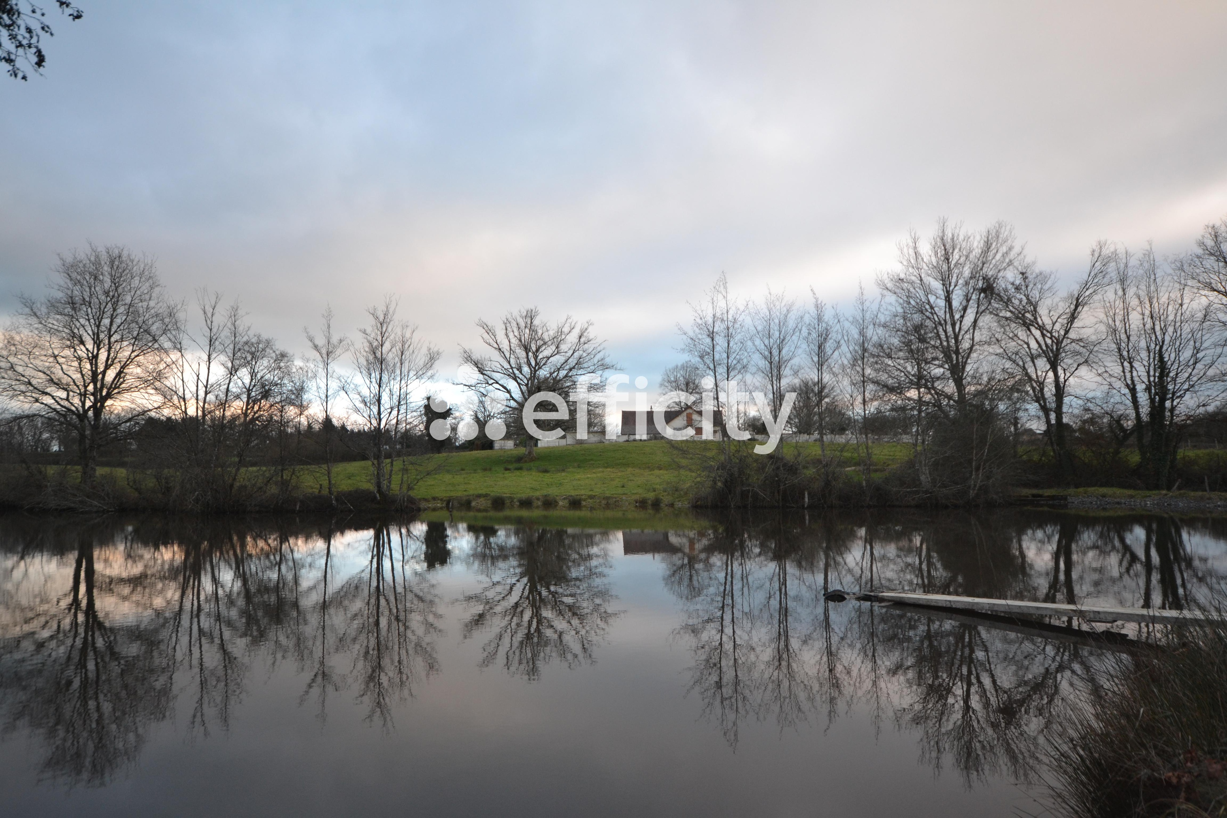 Achat immobilier Maison 5 pièces  140m2 à La Nocle-Maulaix (58250) - Photo n°5