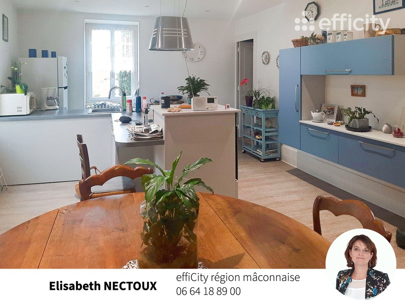 Achat immobilier Immeuble 6 pièces  174m2 à Mâcon (71870) - Photo n°1