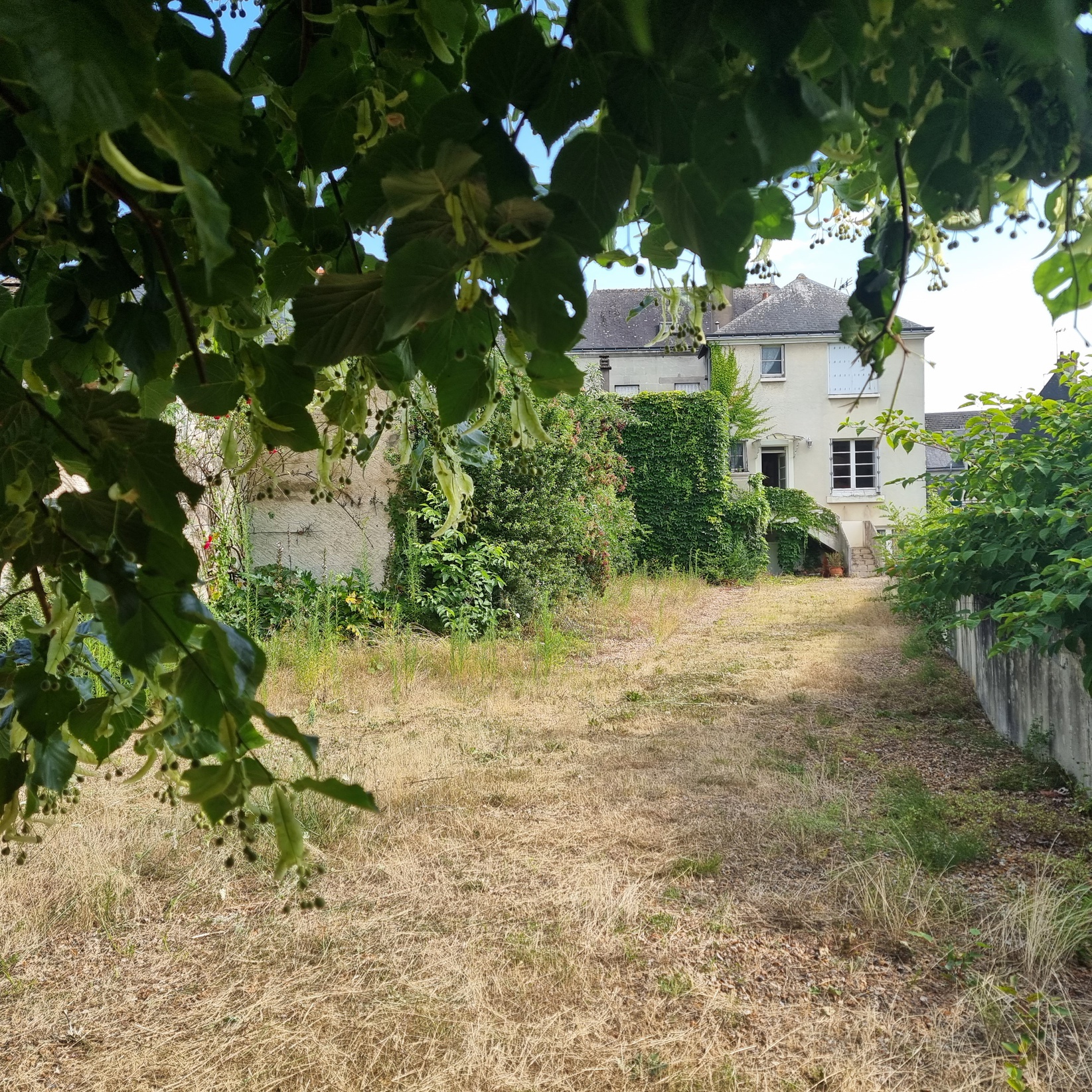 maison 11 pièces - 270m2 à Neuillé-Pont-Pierre (37360)