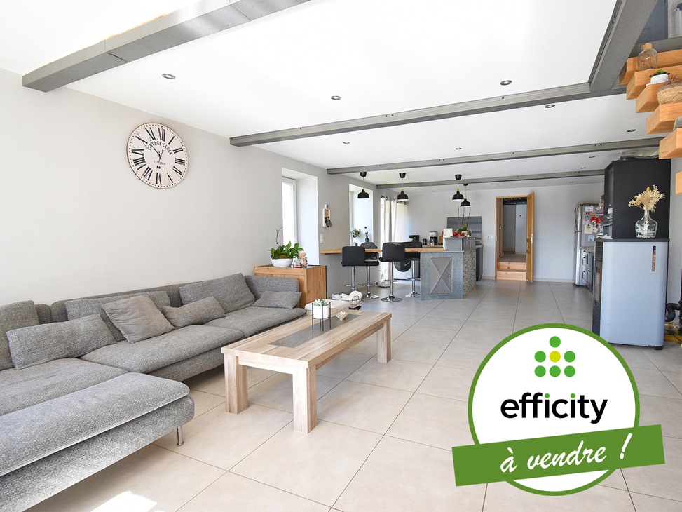 maison 6 pièces - 180m2 à Chazelles-sur-Lyon (42140)