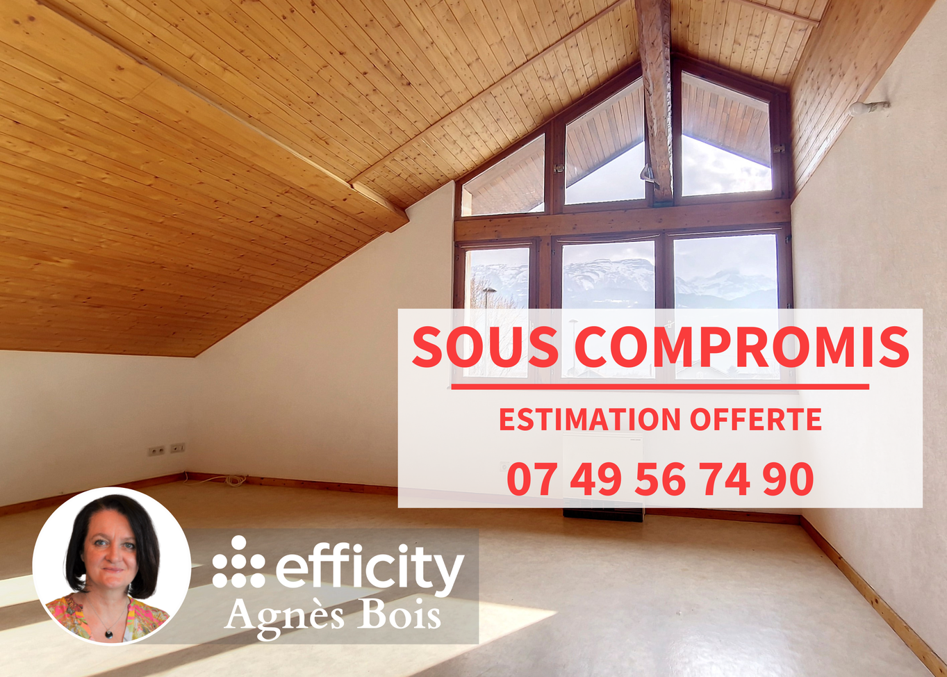 maison 16 pièces - 446m2 à Marignier (74970)