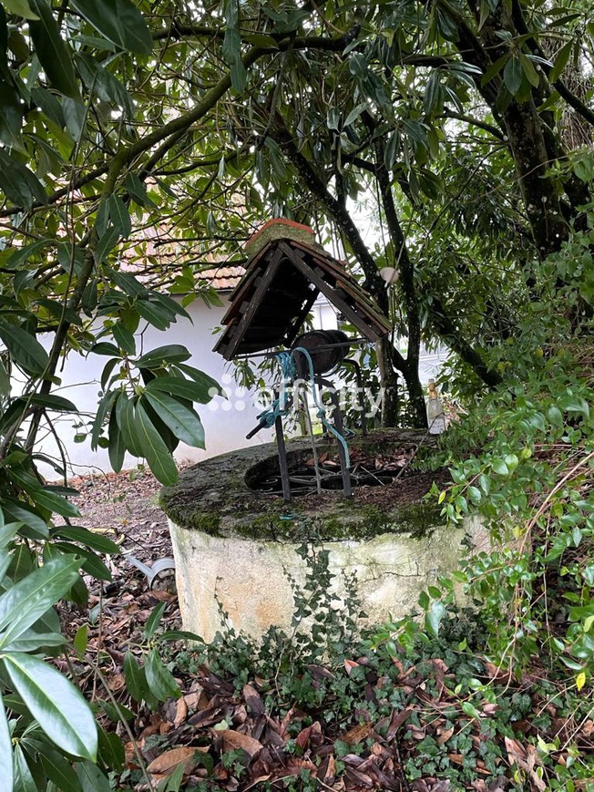 Achat immobilier Maison 12 pièces  306m2 à Saint-Rémy-en-Rollat (03110) - Photo n°7