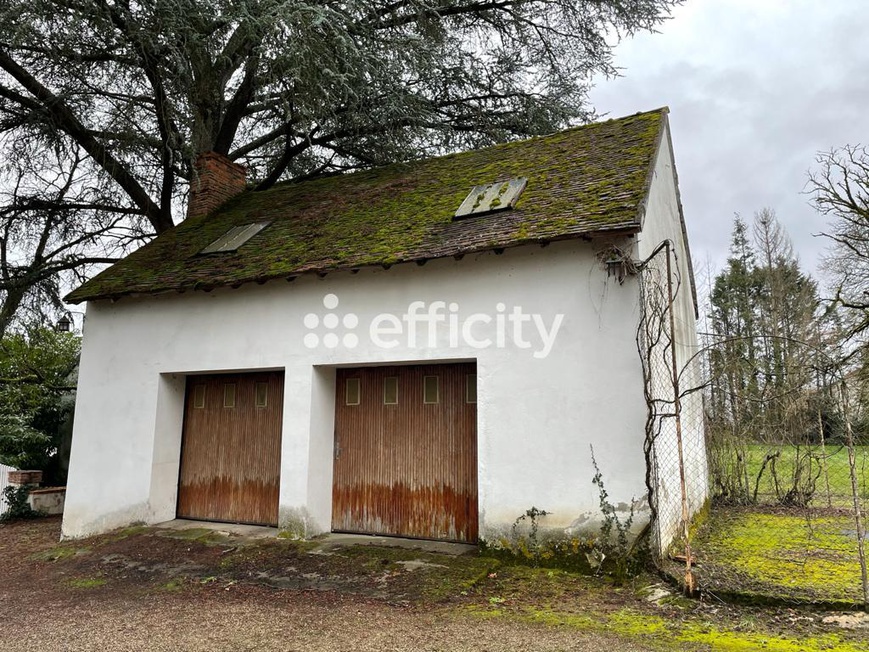 Achat immobilier Maison 12 pièces  306m2 à Saint-Rémy-en-Rollat (03110) - Photo n°5