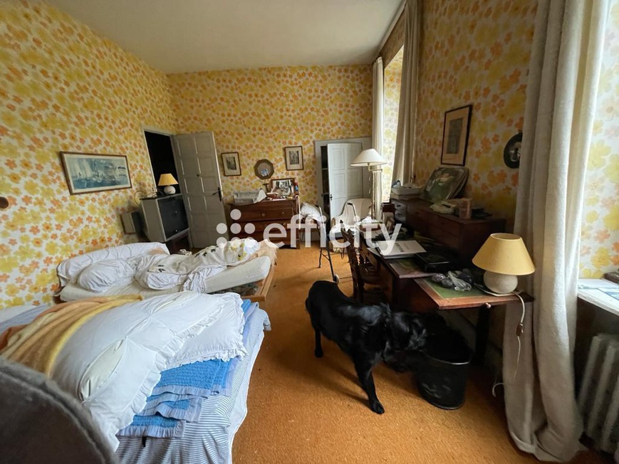 Achat immobilier Maison 12 pièces  306m2 à Saint-Rémy-en-Rollat (03110) - Photo n°21