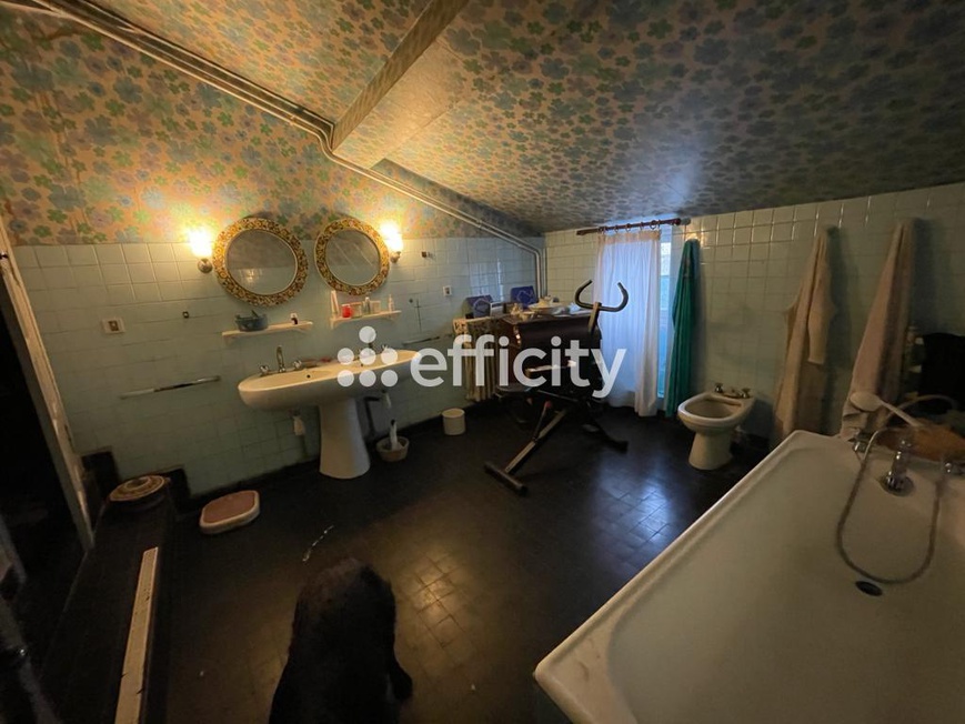 Achat immobilier Maison 12 pièces  306m2 à Saint-Rémy-en-Rollat (03110) - Photo n°26