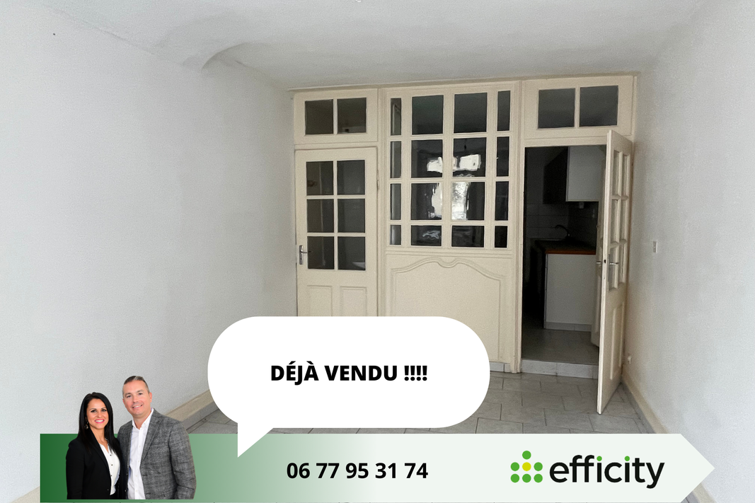 maison 3 pièces - 52m2 à Condrieu (69420)