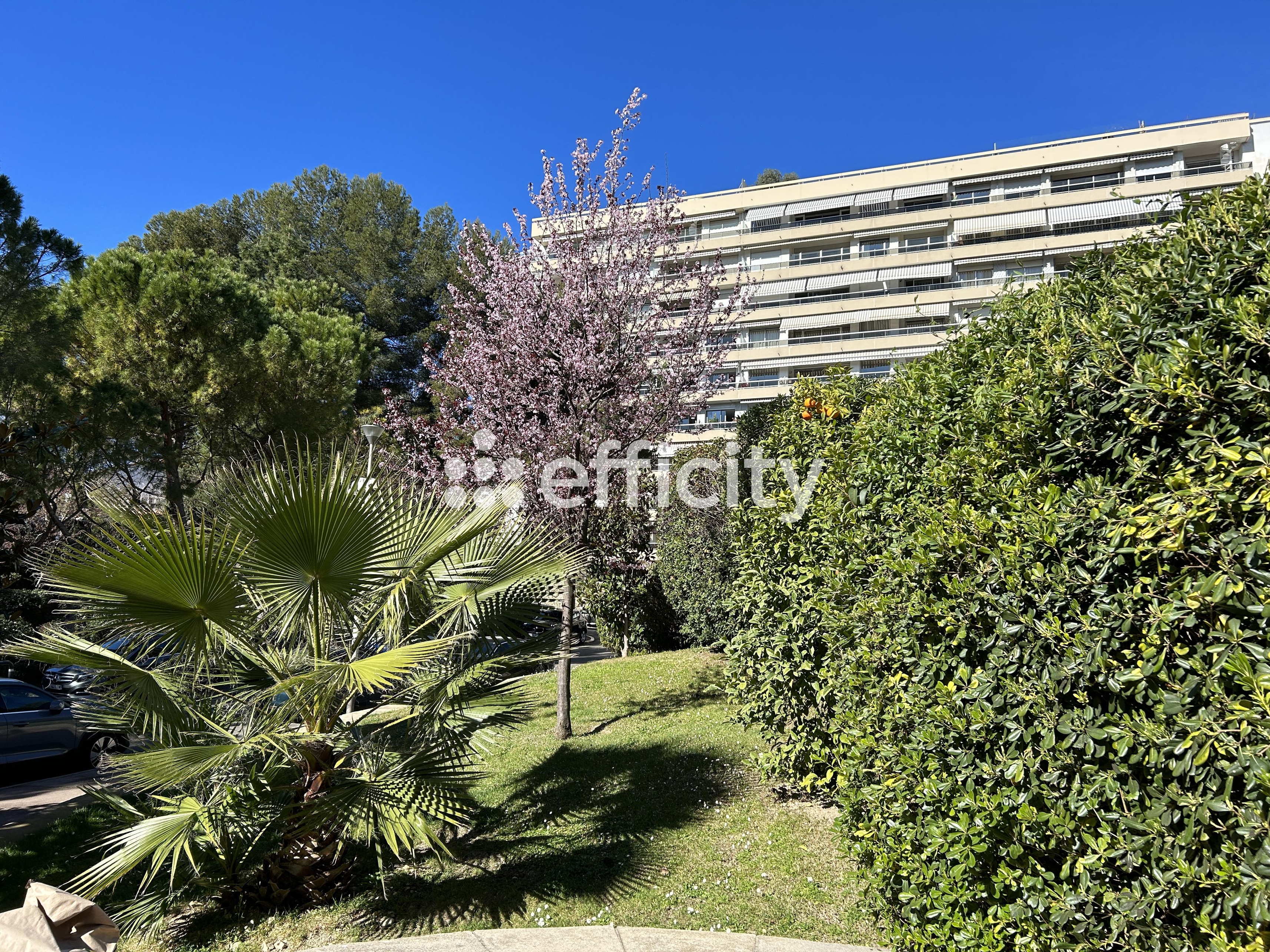 Achat immobilier Appartement 4 pièces  167m2 à Marseille (13008) - Photo n°9