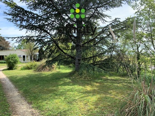 maison 6 pièces - 130m2 à Rouillac (16170)