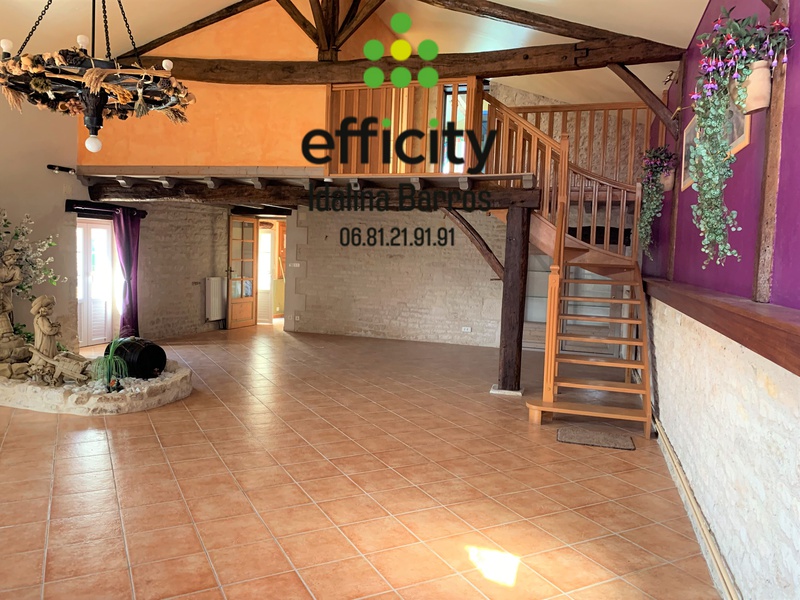 Achat immobilier Maison 14 pièces  400m2 à Néré (17510) - Photo n°6