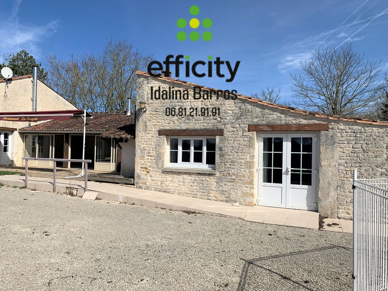 Achat immobilier Maison 14 pièces  400m2 à Néré (17510) - Photo n°1